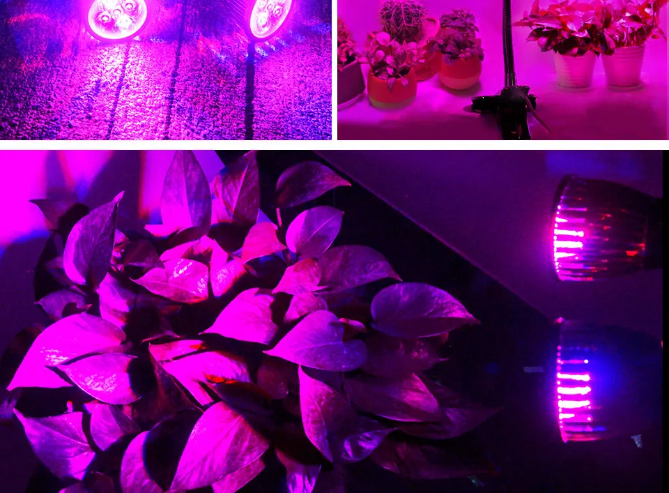 3 Heads LED Grow Light Dual Head 15W Plant Grow Lamp (4)