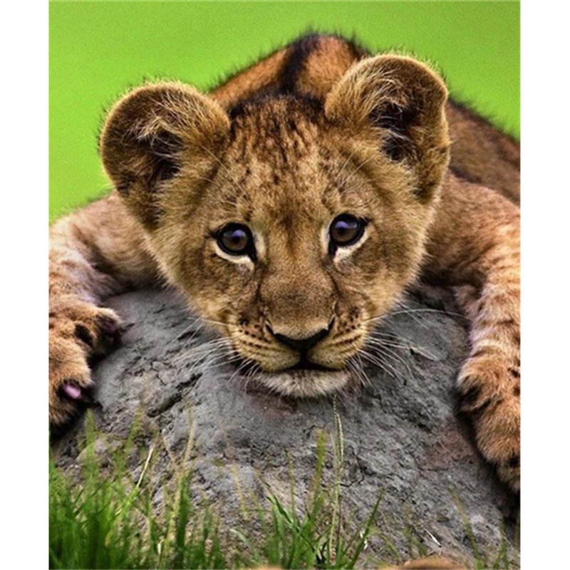2016 Promosi Nyata Lukisan Modern Resin Hewan 3d Leopard Seri