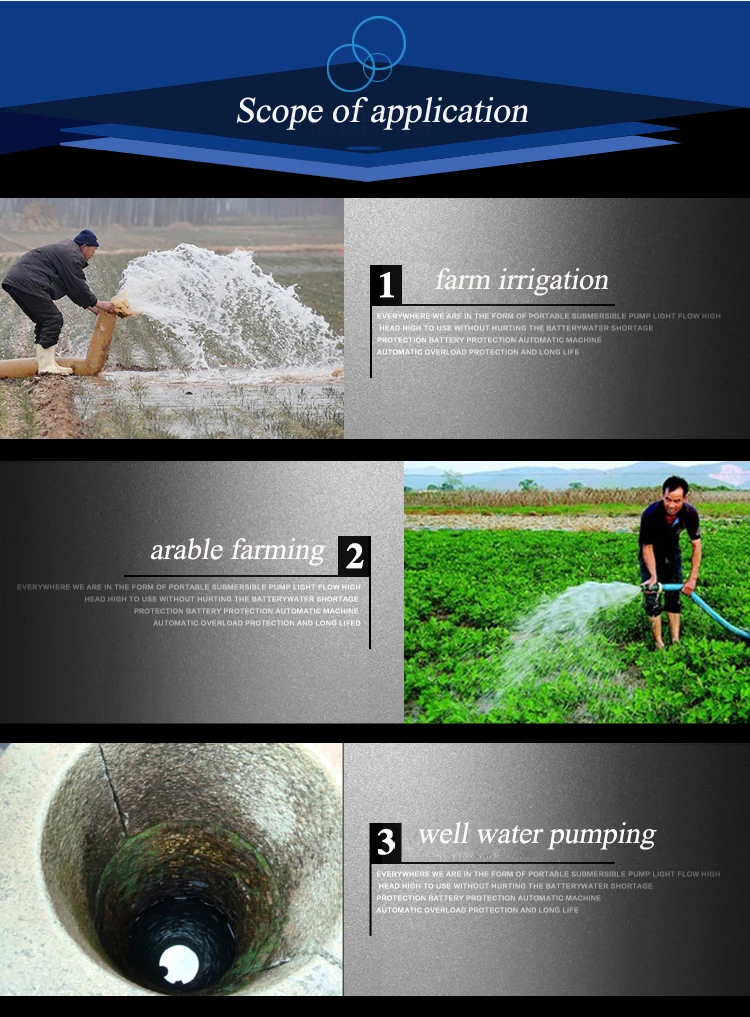 Brushless dc pump