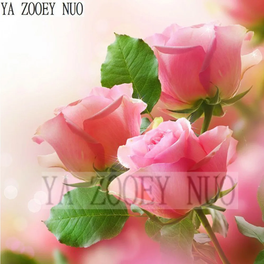 

Needlework 3D DIY Diamond Painting Cross Stitch Pink rose flowers 5D Diamond Embroidery Flowers Home Decor gift KL944