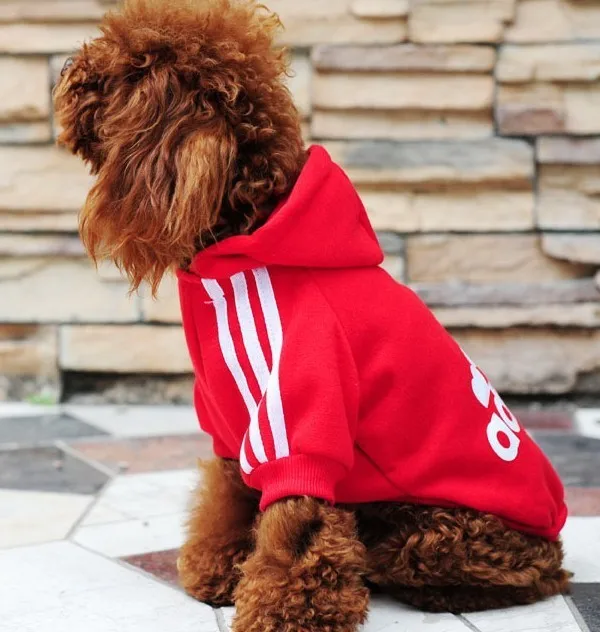 free shipping spring outdoor dog clothes dogs warm clothing safety pet