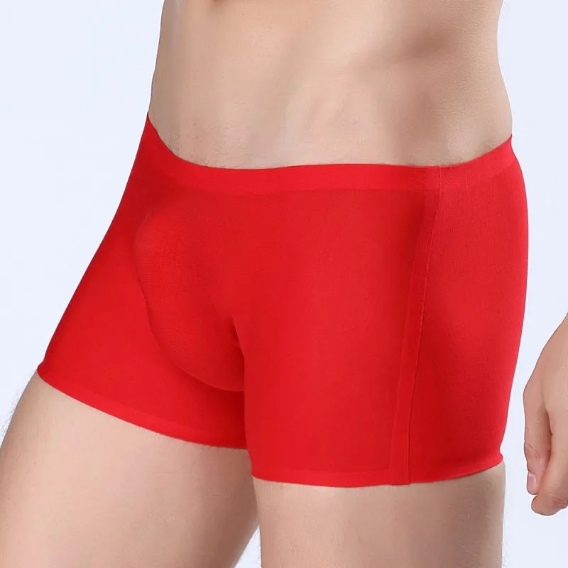 

Micofiber men boxer underwear seamless male lingerie see through underpants gentlemen undergarments for boys free shipping