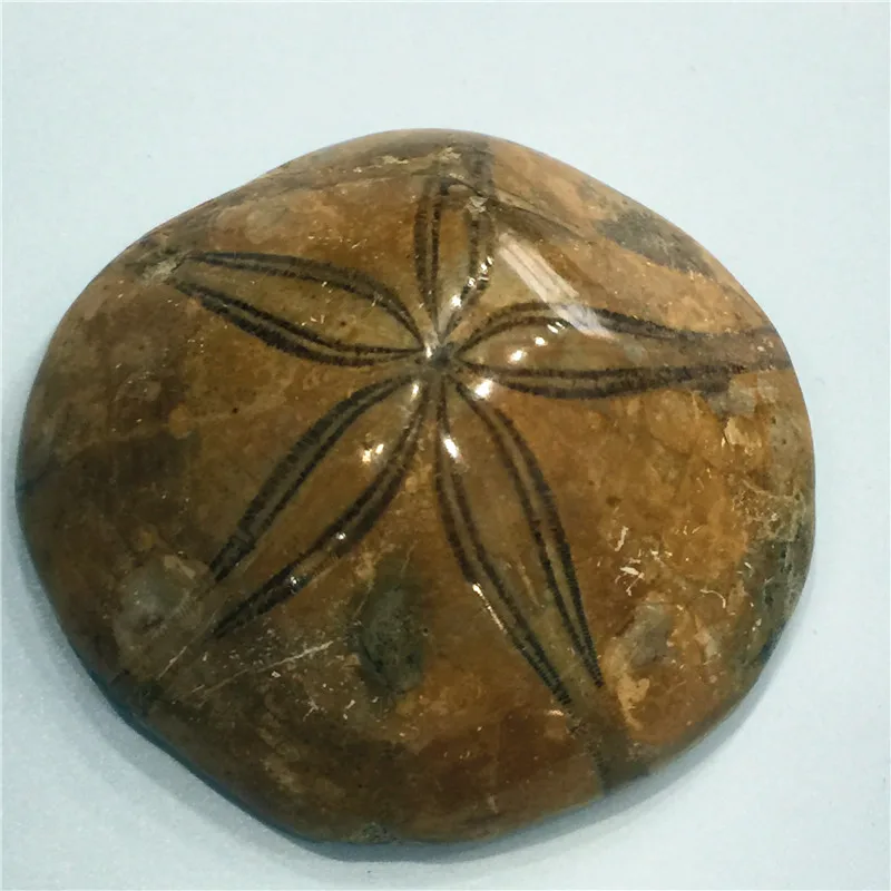 08 (2)