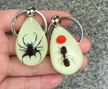 

FREE SHIPPING 12PCS REAL ANT RED BEAN PRICKLY SPIDER GLOW DROP FASHION KEYCHAIN TAXIDERMY GIFT