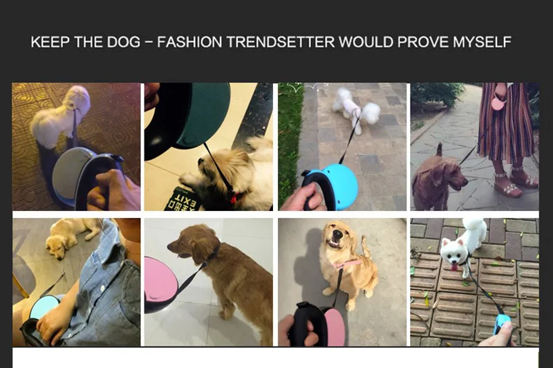 New 3M Pet Dog Cat lead Automatic Retractable Dog Leash Puppy Pet Traction Rope Chain Harness Dog collars Leash Pet Supplies2