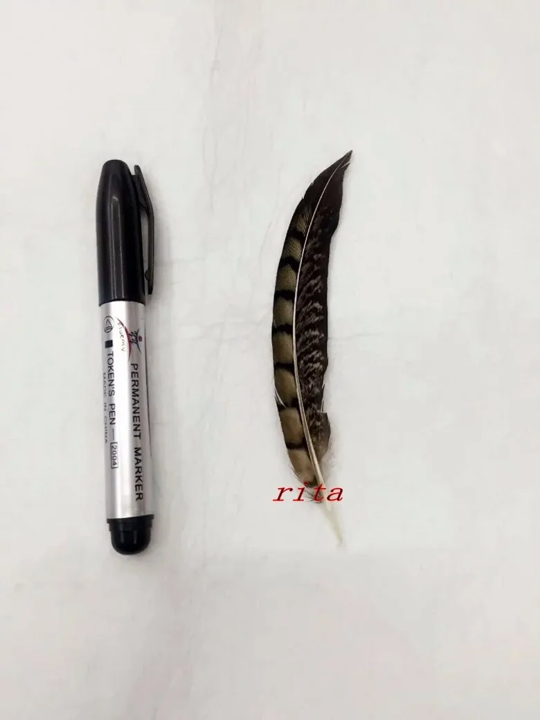 100pcs25-30cm10-12inch amherst перья фазана Природные Перья Шлейф объемные украшения из перьев