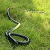 Soft Rubber Toy 130cm Snake Safari Garden Props Joke Prank Gift Novelty and Gag Playing Jokes Toys ► Photo 1/4