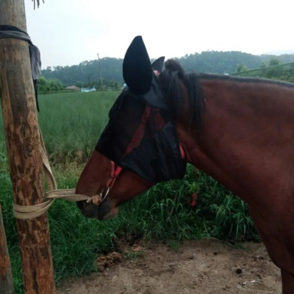 FI00048 (5)