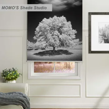 

MOMO Blackout Painting Window Curtains Roller Shades Blinds Thermal Insulated Fabric Custom Size,PRB set412