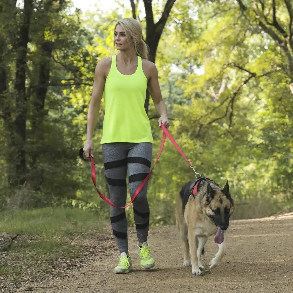 71Av3HmsjKL._SL1000_