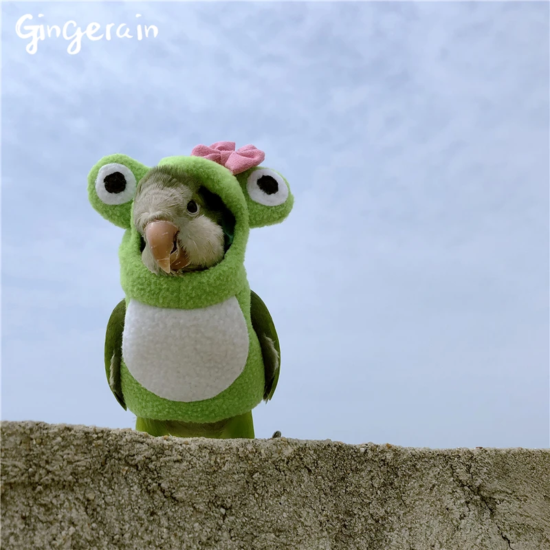 Ropa de ave Gingerain, ropa de loro, pequeña, ropa de ave personalizada original hecha a mano, suéter con capucha, Rana pequeña - AliExpress Hogar y jardín