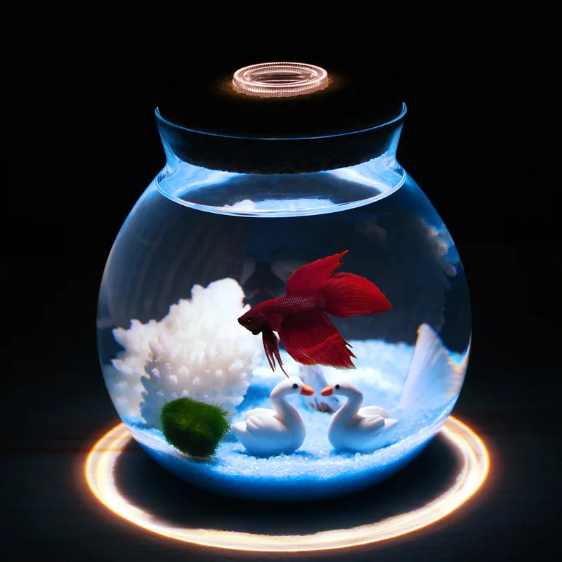 Creative Mini Transparent Glass Fish Tank Home Decoration Fish