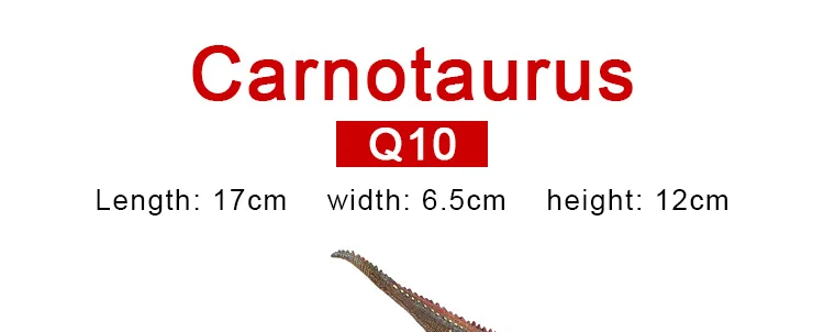 -16-_19