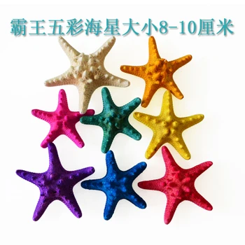 

Natural starfish shell conch direct selling wall decorative arts and crafts floor furniture decoration wedding