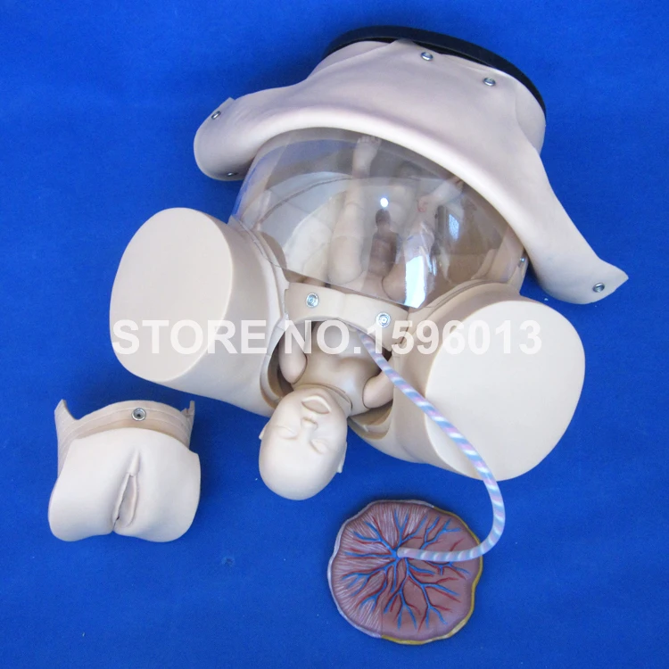 F52 childbirth simulator (6)