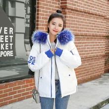 abrigos mujer invierno 2019 Short Cotton Coat Simple Winter Jacket for Women Fur Collar winter Coat Women Outerwear цена abrigos mujer invierno 2019 Short Cotton Coat Simple Winter Jacket for Women Fur Collar winter Coat Women Outerwear цены онлайн