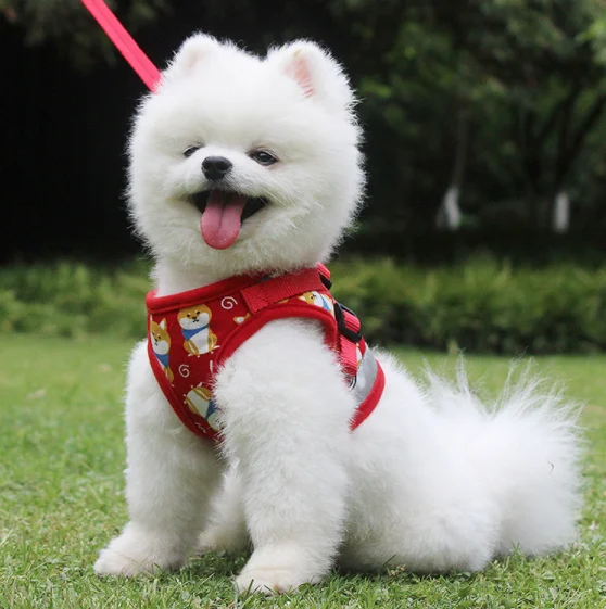 Pet Supplies Dog Vest Harness Leash Collar Anti Flushing | Дом и сад