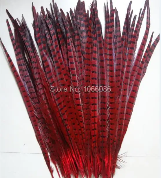 

Free shipping manufacturers sale 100pcs 50-55cm 20-22inch red ringneck feather tail lady amherst pheasant feathers