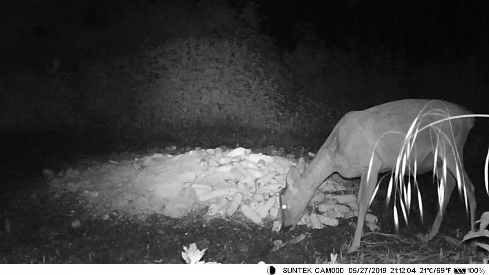 Câmeras de Visão Noturna sem Fio Trail Caça Câmera Wildlife Vigilância 1080 p 16mp Armadilha Foto Rastreamento Hc550a 14 Esporte e Lazer