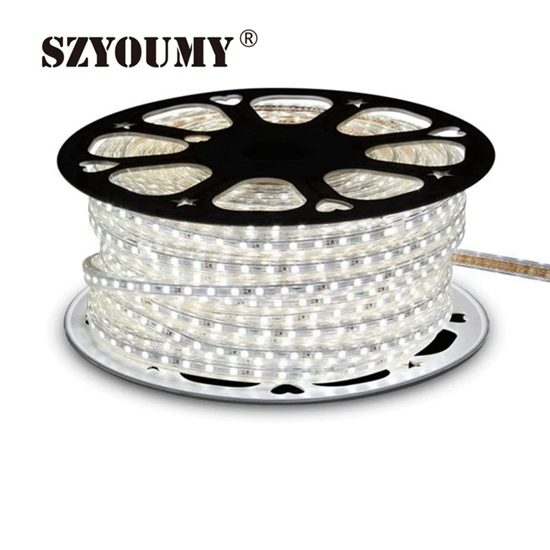 SZYOUMY 220 V Светодиодные ленты 5050 50 м 100 IP67 Водонепроницаемый RGB/белый Цвет веревка для наружного освещения с Мощность контроллер