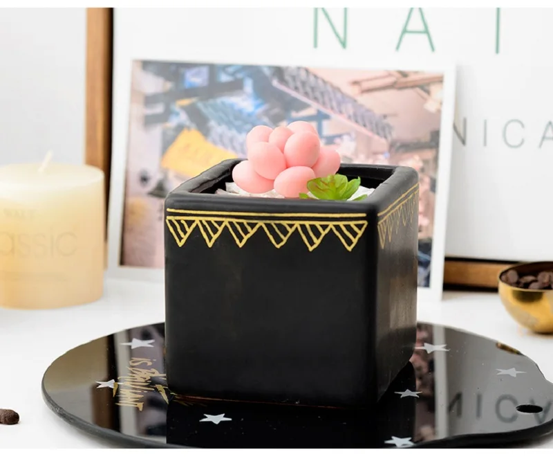 succulent plant pot plantas suculentas cactus pot cups for decorative succulents planten pots mini cups of succulent flowers