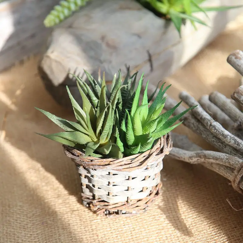 Artificial fleshiness Aloe Succulent plant bonsai local landscape PU decorative flower home Balcony decoration