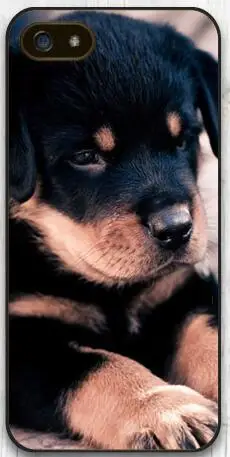 Puppy Rottweiler Dog Protective Phone Case For LG G2 G3 G4 G5 Sony Xperia Z2 Z3 Mini Z4 Z5 Compact HTC M7 M8 M9 |