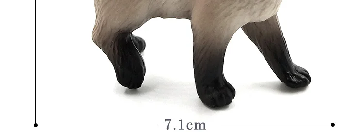 -2--DW-M-LP718-719_05