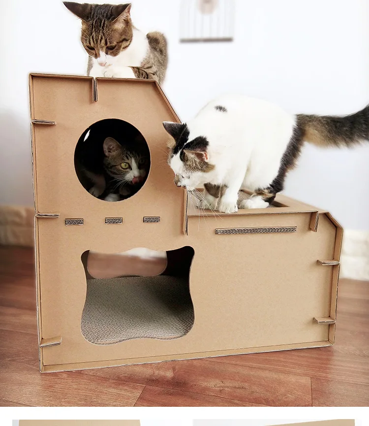 9926754028_1140916069