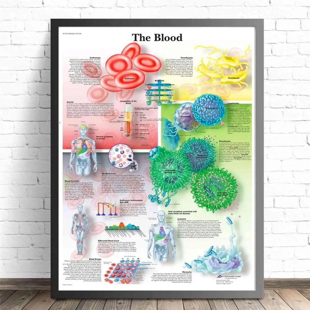 Human Organs Anatomy Medical Canvas Art Painting Posters And Prints Wall Pictures Living Room Decorative Home Decor No Frame - Цвет: The Blood