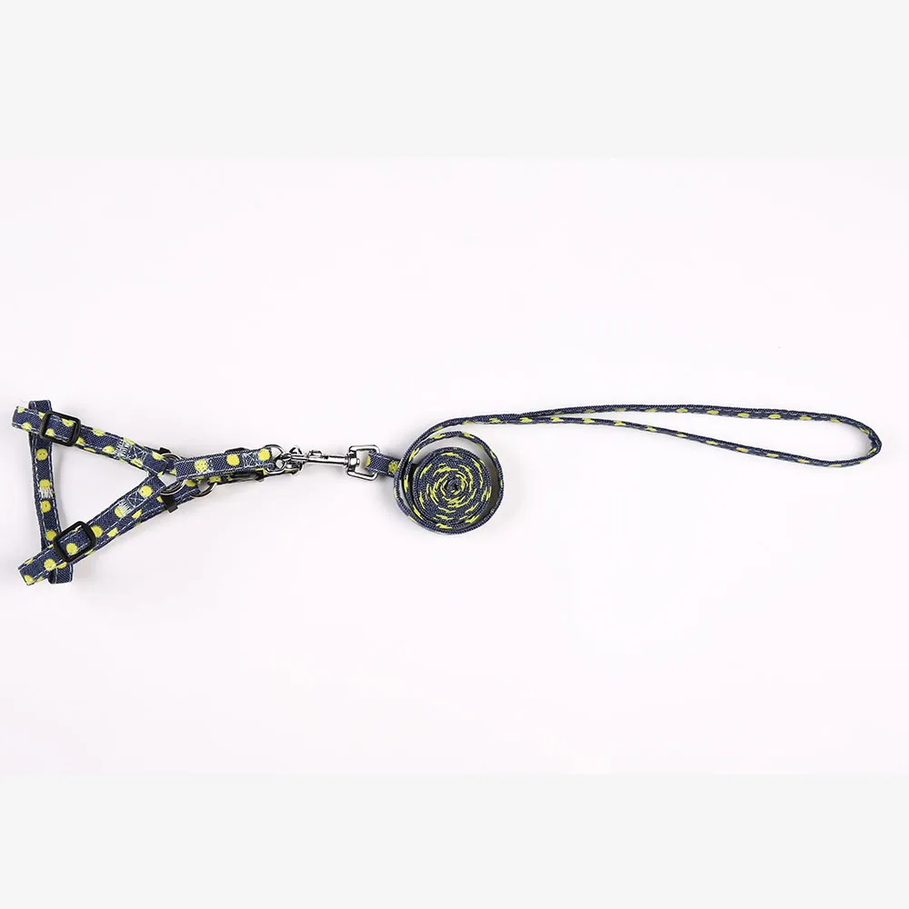 SKU-2 dog leash and harness set