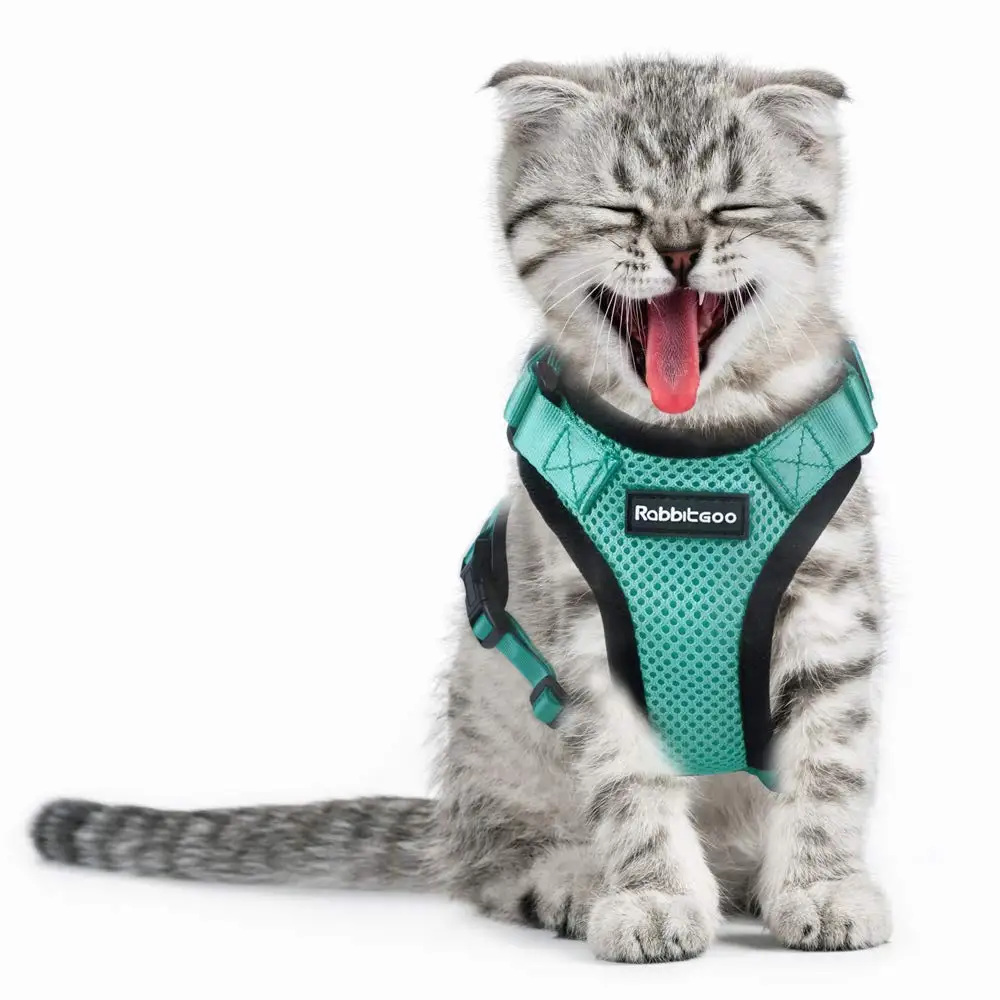 

Cat Harness Escape Proof Dogs Mesh Vest Harnesses Adjustable Reflective Dogs Jacket Walking Harness For Chihuahua Yorkies Pug
