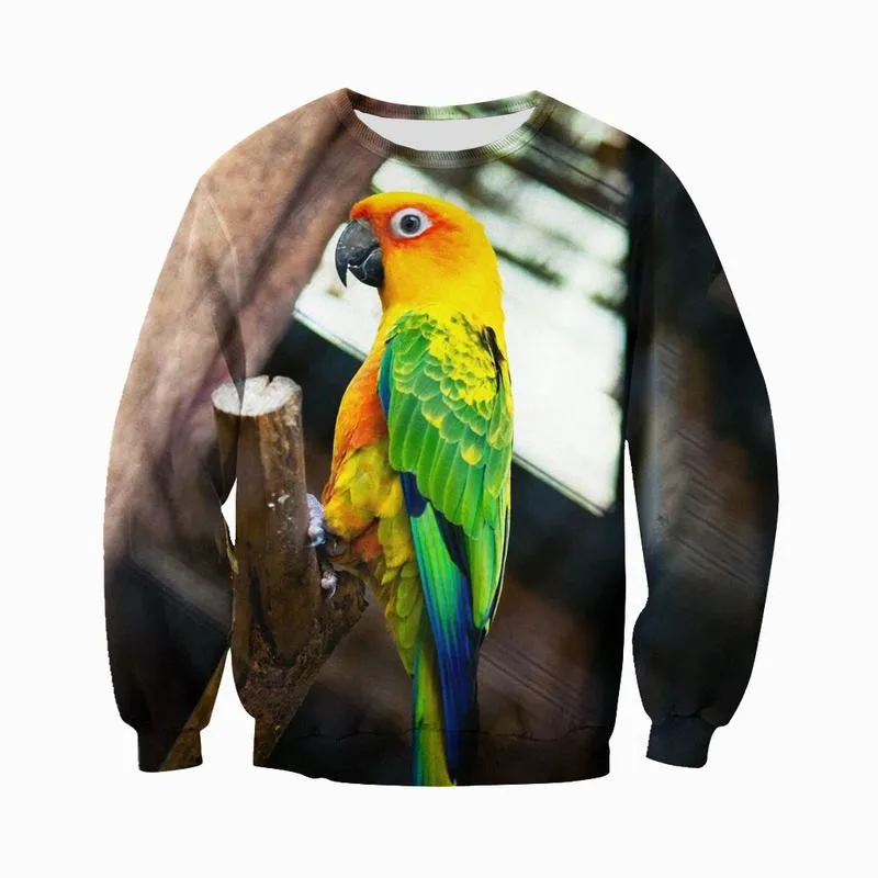 D_c_Sun_Conure_3D_DT231003_LSV_800x