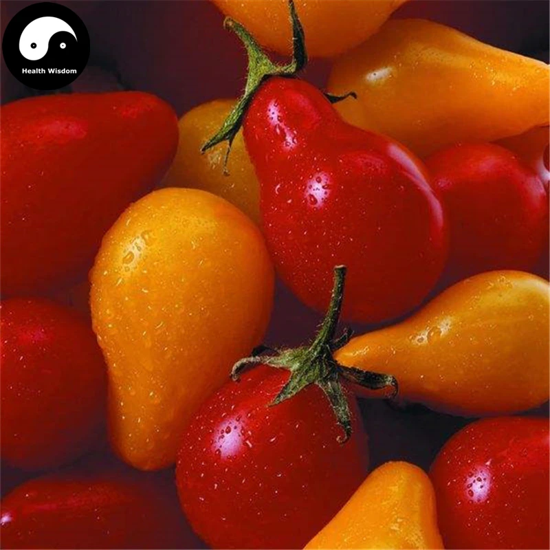 Buy Buy Red Pear Tomatoes Vegetable Semente 800pcs