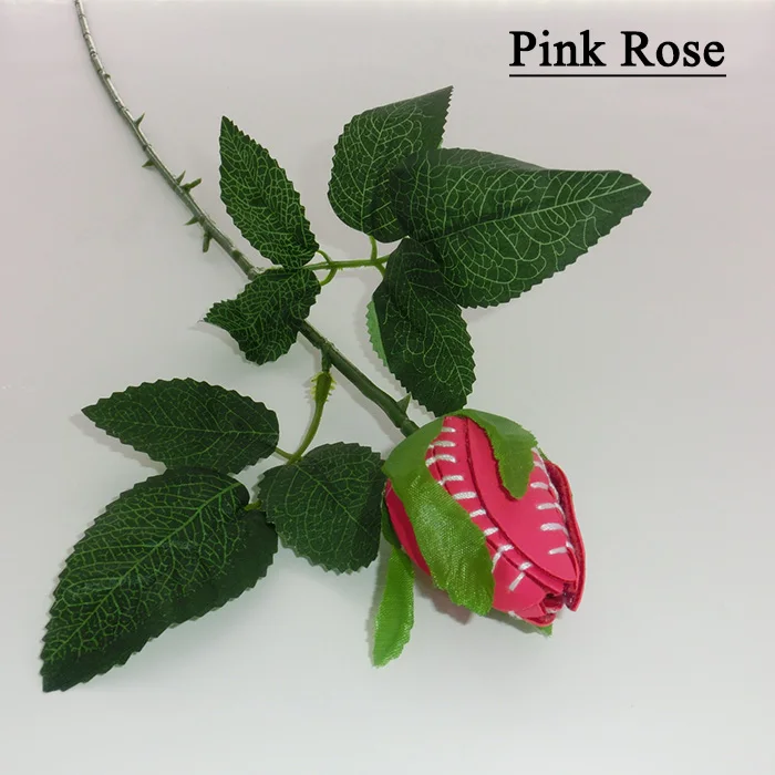 

Most Beautiful Pink leather seam sports Roses