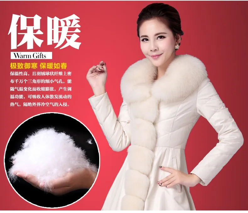 xijie6