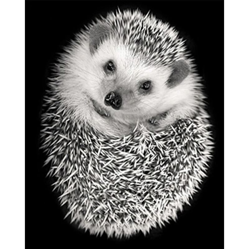 Hedgehog picture 3D diy FULL diamond painting cross stitch animal 5d