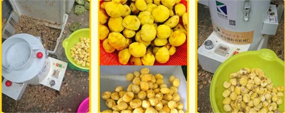 chestnut shelling machine07