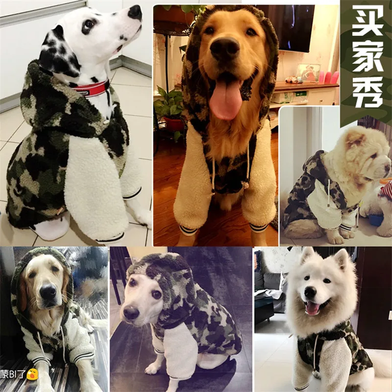 pet 12