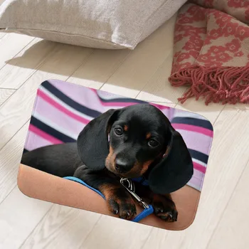 

40x60cm floor mat hallway doormat suede Welcome entrance door mat anti-slip water Water absorption carpet bulldog photo printed