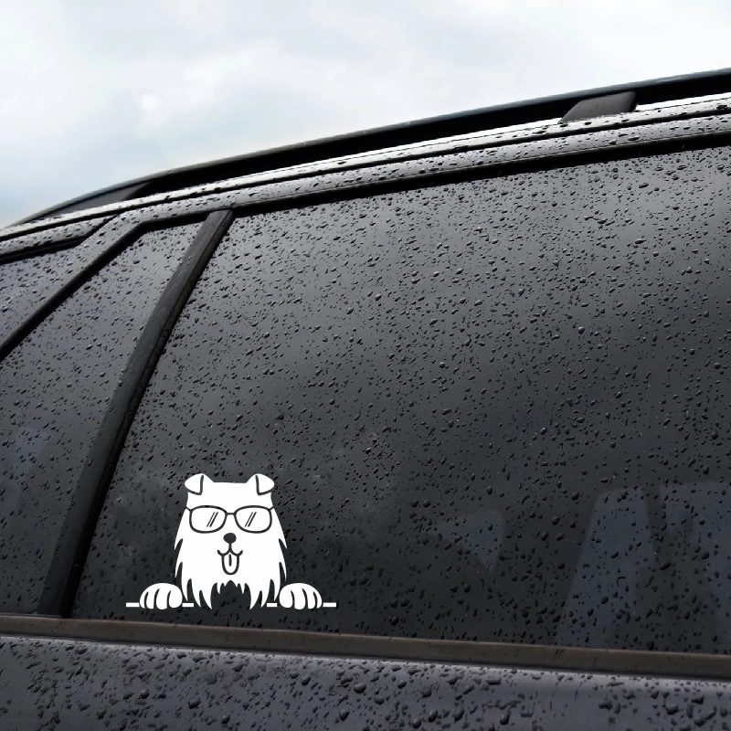Collie Shetland Sheepdog Dog Diesel Window Stickers Car Styling Accessories Racing StickersL14.5cm | Автомобили и мотоциклы