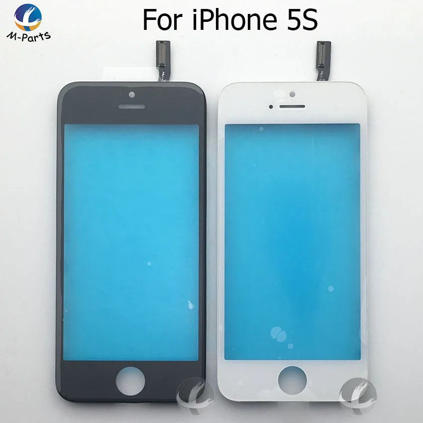 5S TP 3