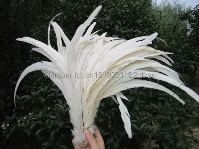 30 35cm 12 14 Inch Pure Beige Rooster Tail Feathers Chicken Feathers Cock Tail Feather Rooster