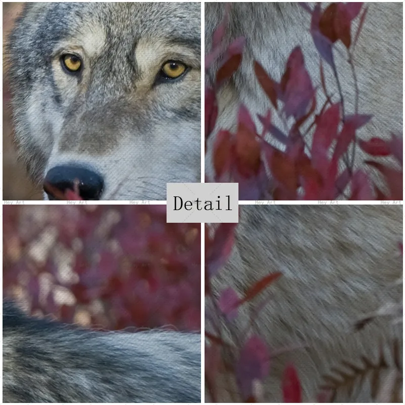 GH5459-1