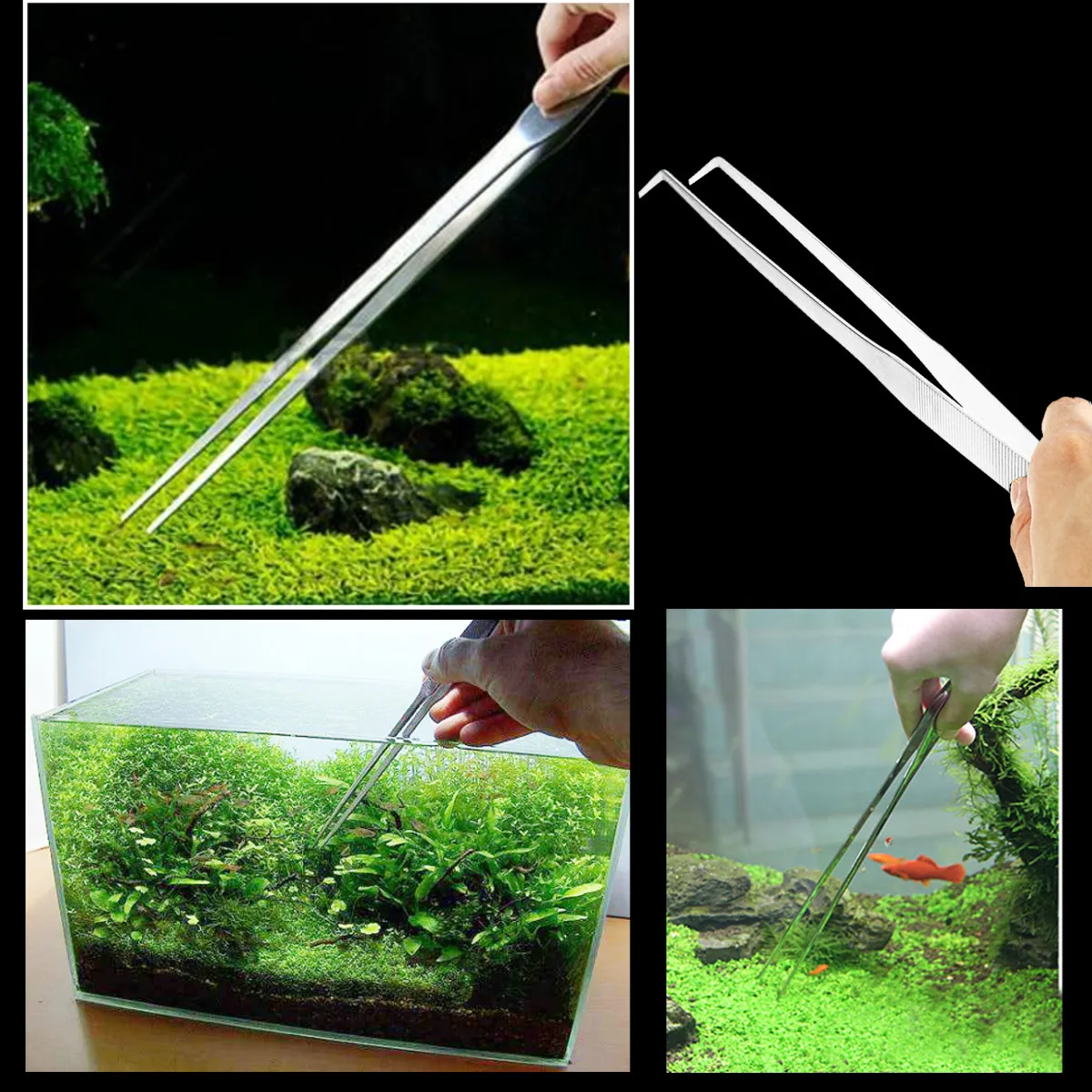 stainless steel aquarium straight