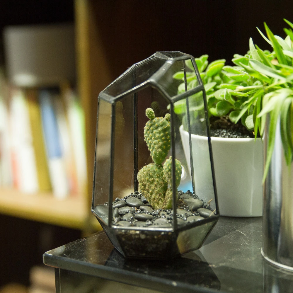 Maceta de plantas suculentas de mesa con caja de terrario geométrico de vidrio irregular Maceta de plantas suculentas de mesa con caja de terrario geométrico de vidrio irregular