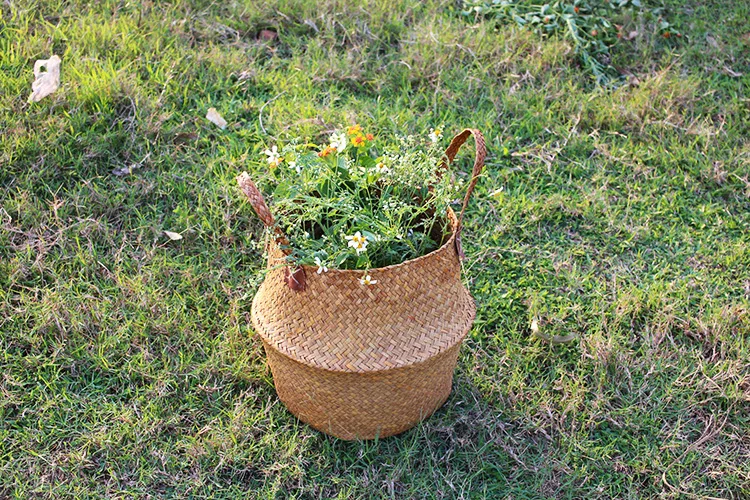 4211679603_943579889