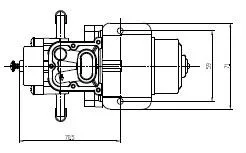 DP005A2 DC 24V электрический мембранный насос пищевой 1.2L/мин бесшумно работает