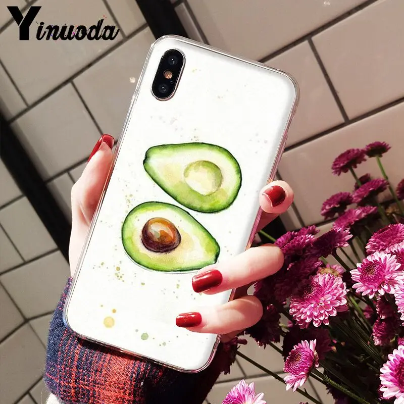 Avocado