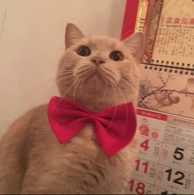 TB2gcprbrlmpuFjSZFlXXbdQXXa_!!0-rate.jpg_400x400